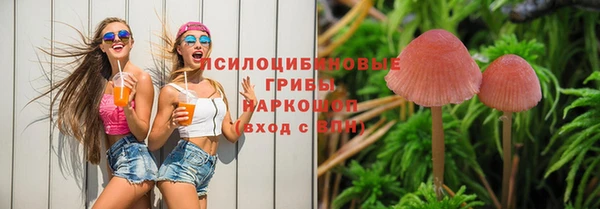 mdpv Алзамай